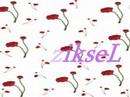 Kelebegimfm.Net
