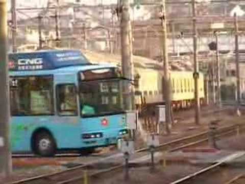 つばきバス