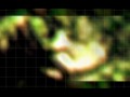 paul is dead - the rotten apple 80