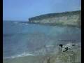 videos de TORTUGAS 