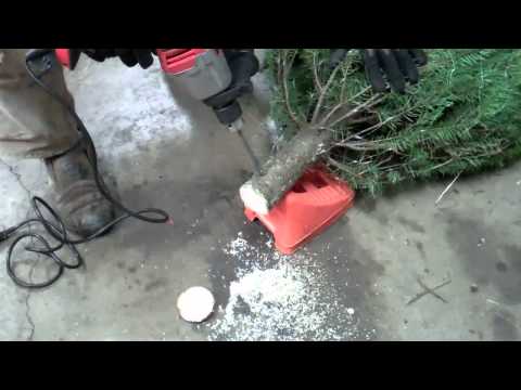 how to keep christmas tree fresh