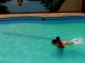 videos de Noelia Matias en la Piscina