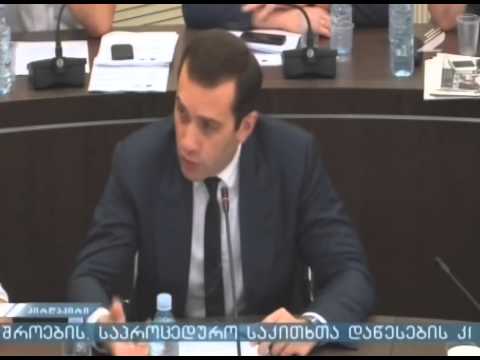 ირაკლი ალასანიამ საკომიტეტო მოსმენაზე დეპუტატების კითხვებს უპასუხა