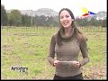 Bioabono - Fundación Humedales (agricultura al día)