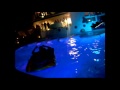 Guarda video