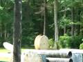 Paintball 2