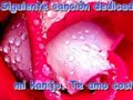 Para todos los enamorados. Kanijo te amo Para todos los enamorados. Kanijo te amo