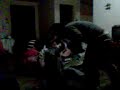 nunka cantes en la casa de pocho