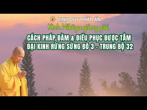 NIKAYA Giảng Giải - Cách Pháp Đàm & Điều Phục Được Tâm - Đại Kinh Rừng Sừng Bò 3 - Trung Bộ 32