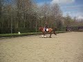 Winja