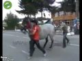 Funny Videos