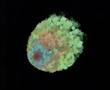 Thumbnail of video Ai Yamamoto - Glimpse