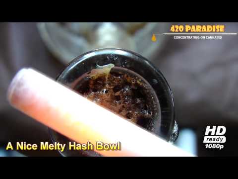 UP CLOSE HASH BOWL WITH BUDDER