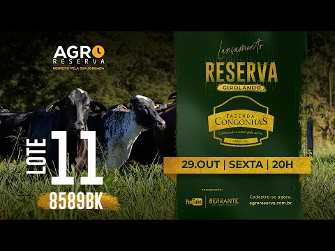 LOTE 11 - LOCUTORA ENLÃŠVO FIV 8589BK