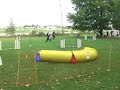 Spice's Jumpers run to complete his AAC Silver Award of Merit. He had arthroscopic surgery in May to remove bone chips in his elbow (Jump Down Syndrome). This is his second run since the surgery (b