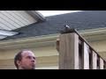 Super Simple Webcam Surveillance System