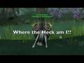videos de Gnome Hunting Pt 1