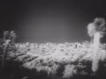 Atomic bomb blasts a fake American town, but no Indy in the fridge.