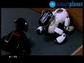 Programando las emociones (I)