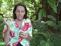 Aloha Healing Women 5 http://www.healthretreats.info