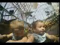 Jacob and Joshua Roller coaster