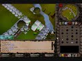 ownin noobs at pkscape