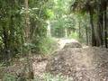 videos de me (Ben O'Connor)jumping