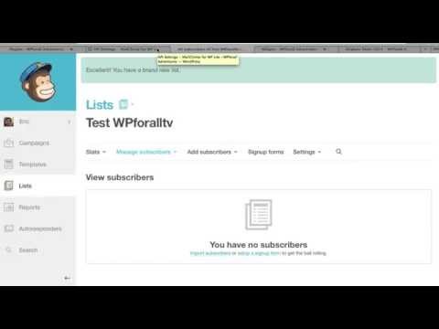 how to newsletter wordpress