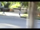 Seemore(a zombie) and The Dunce(predator) with the help of a airhorn pull a few pranks on some unexpecting victoms