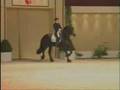 Goffert 369 and Barbaro Tribute - BHP