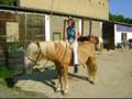videos de Nasall