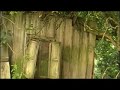 Test der Panasonic SDR-S10