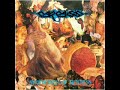 Carcass - Ruptured in Purulence Small Intestine Cancer
