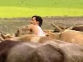 Nepali Songs