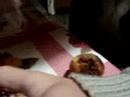 COMO RELLENAR MAGDALENAS CON DULCE DE CHELE