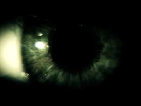 Vid�o de St�phane Marchand (II)