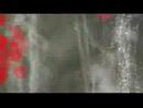 Magnetic Movie