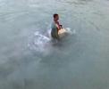 Kuramathi Feeding