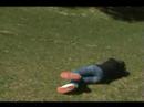 Erbert Laws of Motion