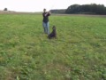 Reizangelarbeit mit Dido Reizangelarbeit mit Dido