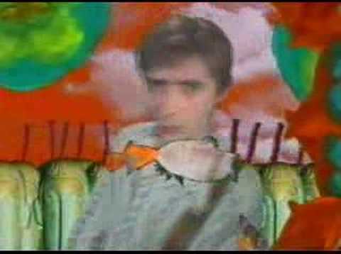 Mary Goes Round - Mary's Garden