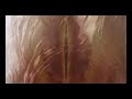 Mind Necrosis Factor - [Kryzal:d] - Entropy (2005)
