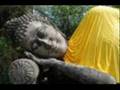 videos de ZhongBa Rinpoche 莲师心咒