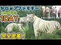 【1DAY】シロップファミリーの１日に完全密着！ツキ・シグレ・シロップ・ナイトの日常の様子をお届けします！in伊豆アニマルキングダム