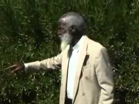 paul mwazha - Paul Mwazha in 2007, his trip from Francistown to Bulawayo. The Teaching, persuades the church to pay reverence to the Almighty God and submission to His wil...