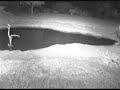 Ellie 21.45.wmv 11-22-08 Ellie 21.45.wmv 11-22-08