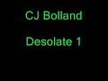 CJ Bolland - Desolate 1 (3i%) CJ Bolland - Desolate 1 (3i%)