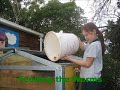 The Worm Farm The Worm Farm