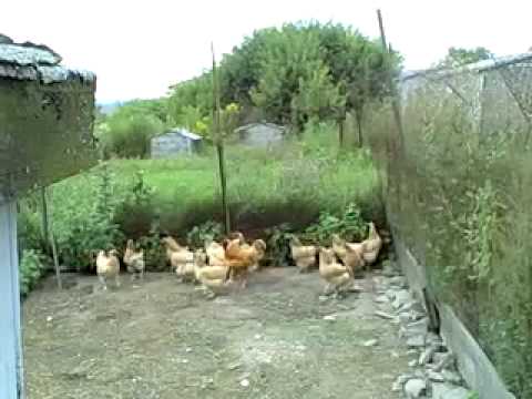 Watch this video