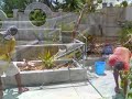 Videos
